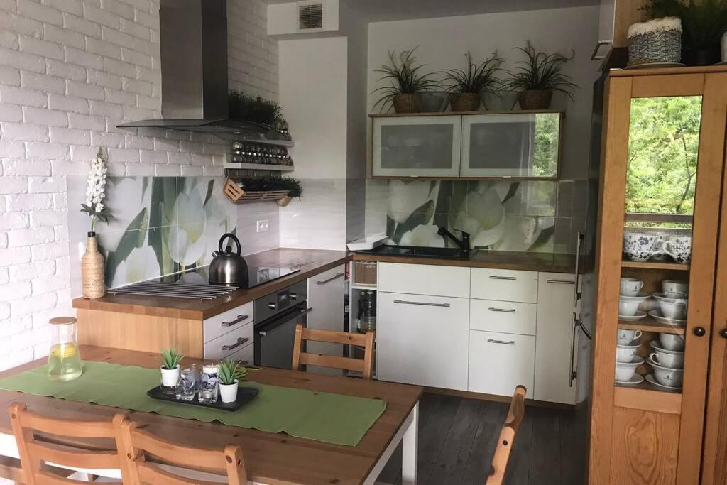 فروتسواف Apartment In Green Area المظهر الخارجي الصورة
